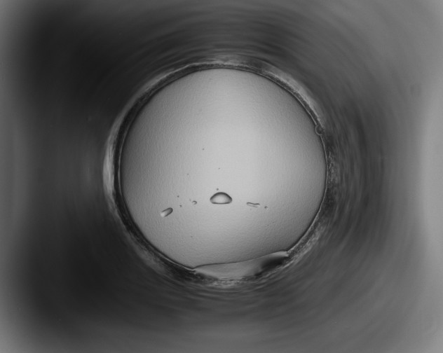 X0000087521131200705181008