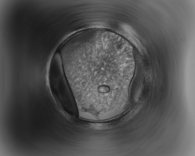 X0000087521132200705181008