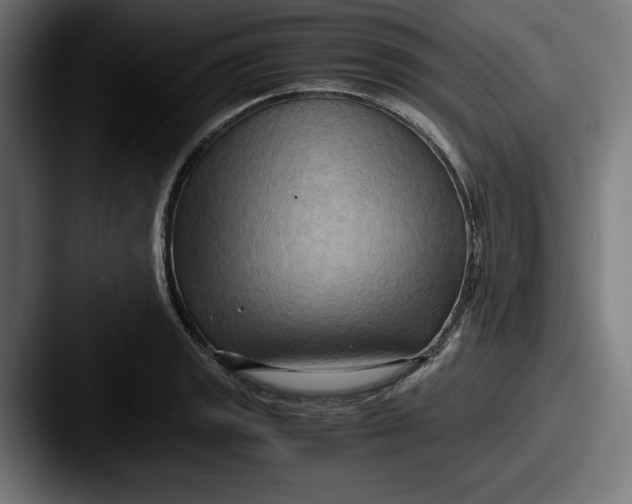 X0000087521133200705181008