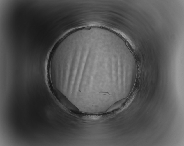 X0000087521134200705181008