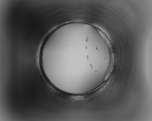 X0000087521135200705181008