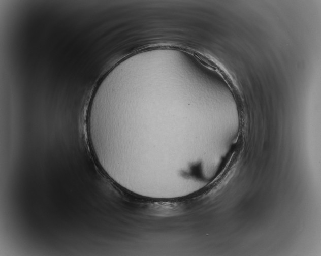 X0000087521137200705181008