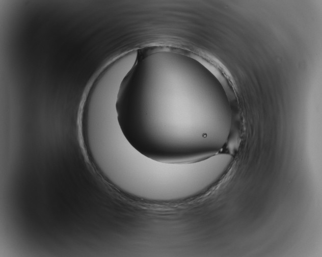 X0000087521138200705181008