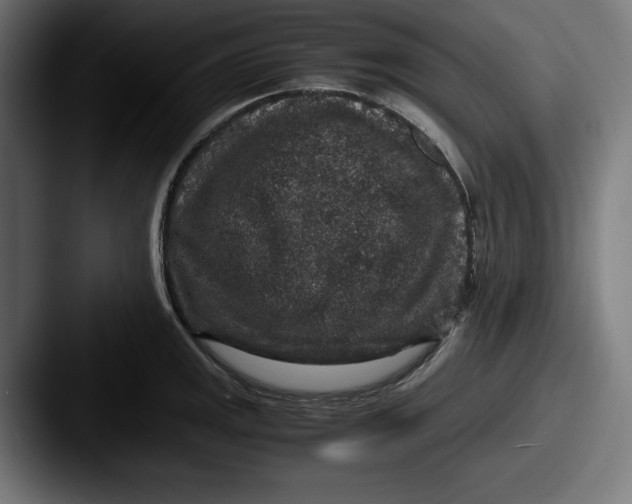 X0000087521141200705181008