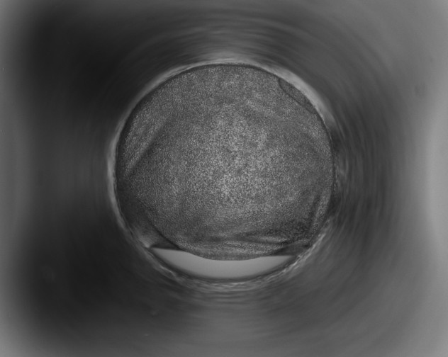 X0000087521142200705181008