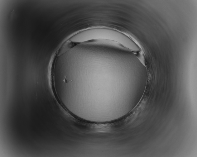 X0000087521143200705181008