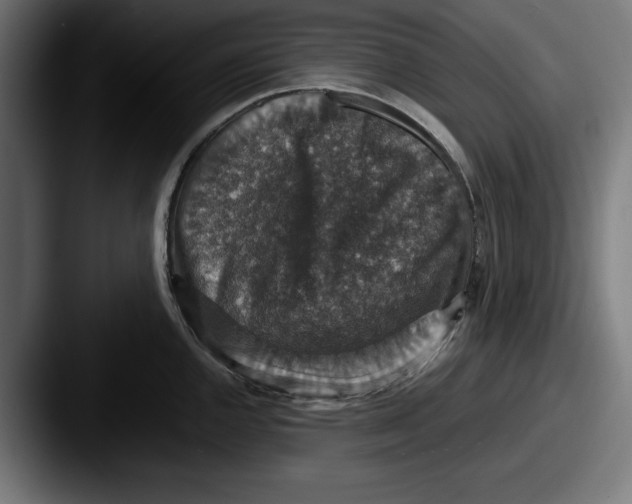 X0000087521144200705181008