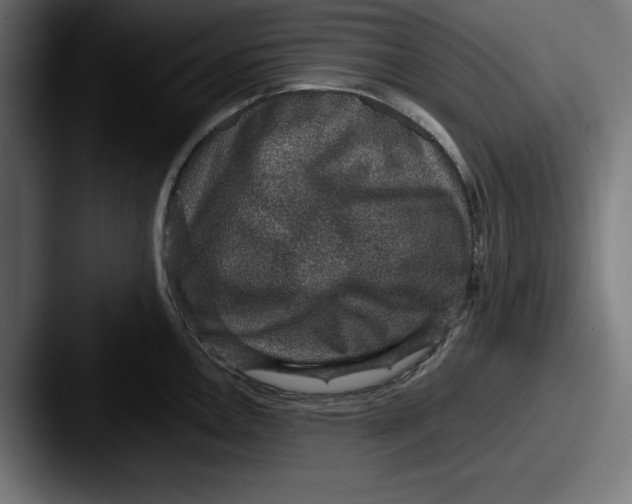 X0000087521146200705181008