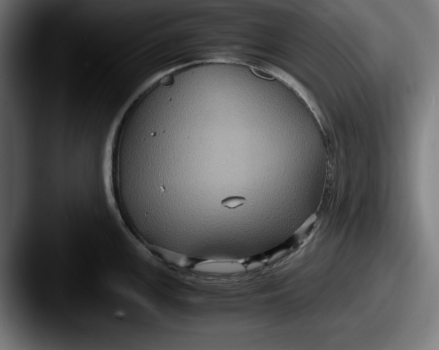 X0000087521147200705181008