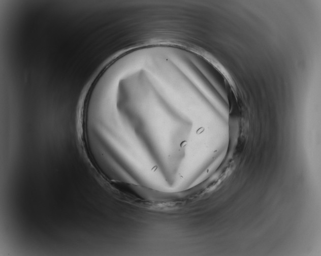 X0000087521148200705181008