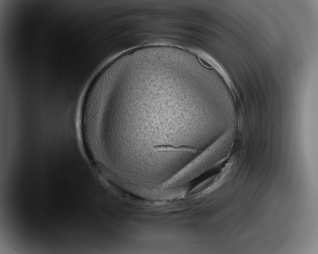 X0000087521149200705181008