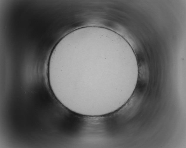 X0000087521150200705181008