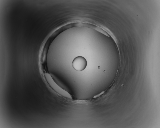 X0000087521152200705181008