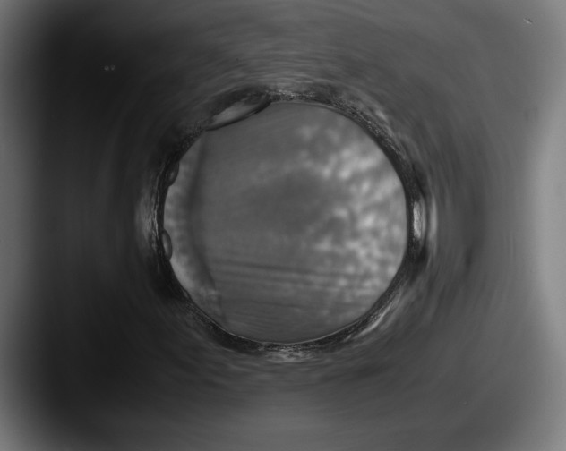 X0000087521155200705181007