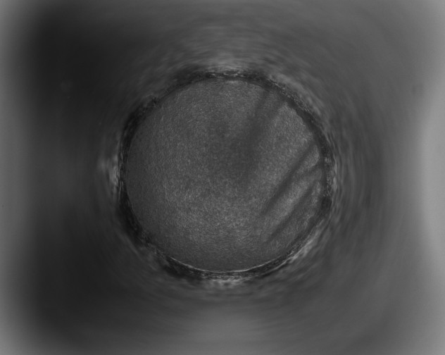 X0000087521157200705181007