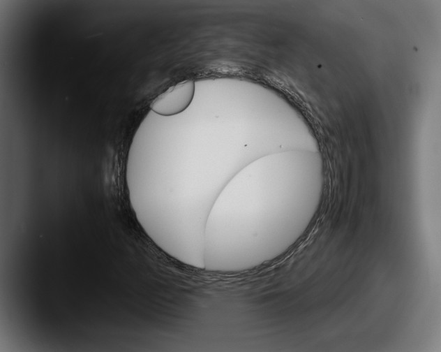 X0000087521158200705181007