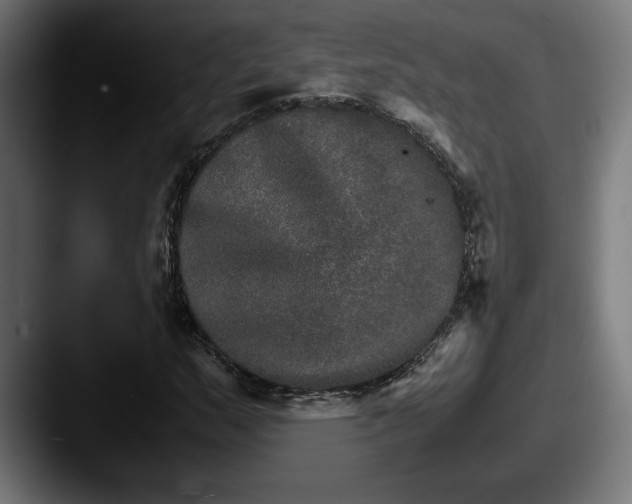 X0000087521159200705181007