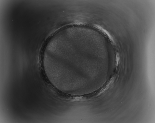 X0000087521160200705181007