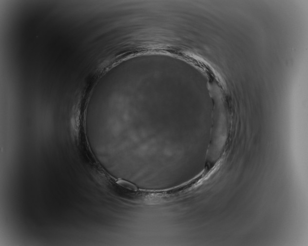 X0000087521161200705181007