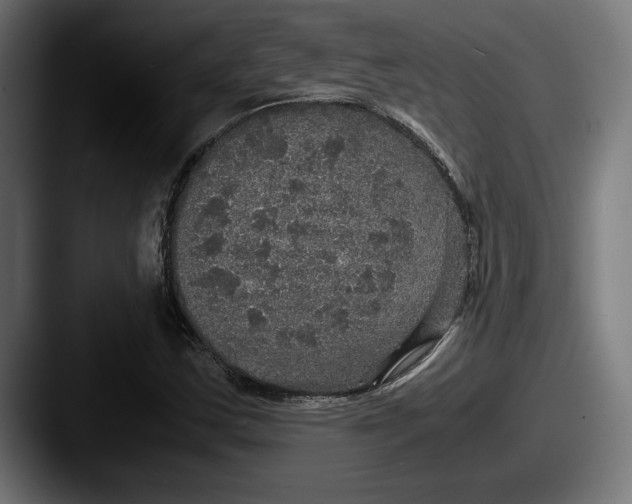 X0000087521163200705181007