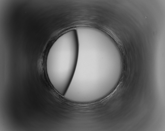 X0000087521164200705181007