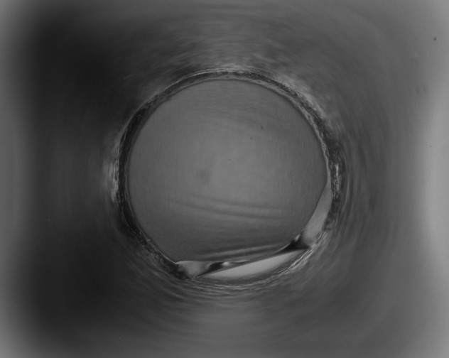 X0000087521165200705181007