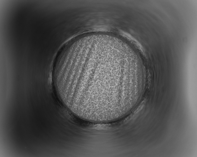 X0000087521166200705181007