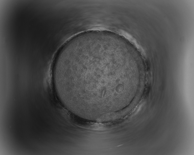 X0000087521167200705181007