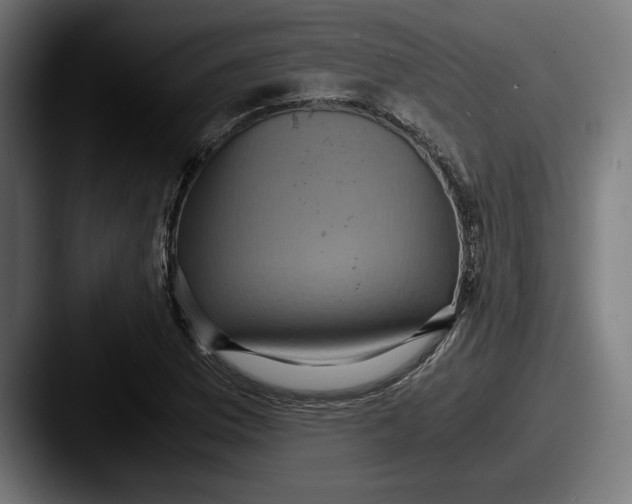 X0000087521169200705181007