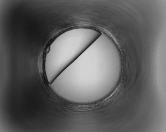 X0000087521171200705181007