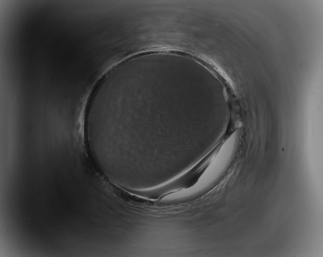 X0000087521173200705181007