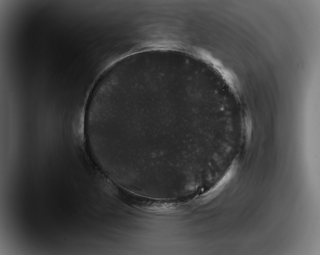 X0000087521174200705181007