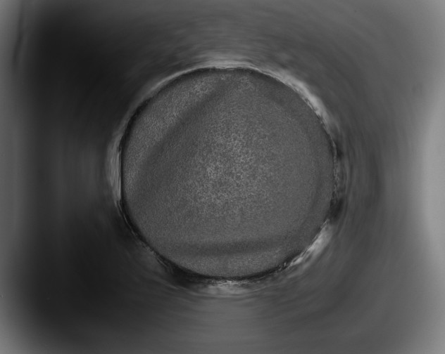 X0000087521175200705181007