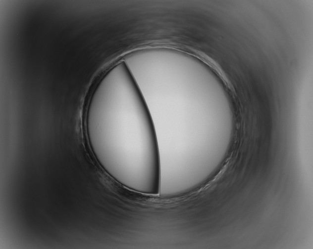 X0000087521176200705181007