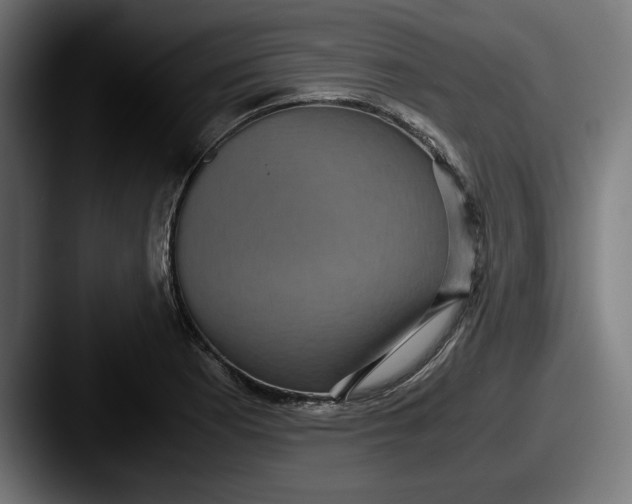 X0000087521177200705181007