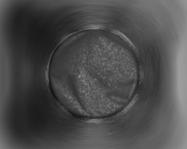 X0000087521178200705181007