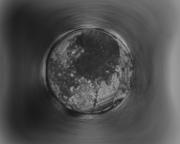 X0000087521179200705181007