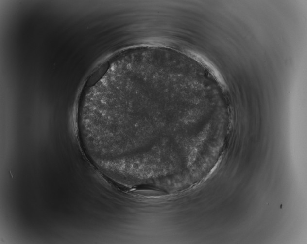 X0000087521180200705181007