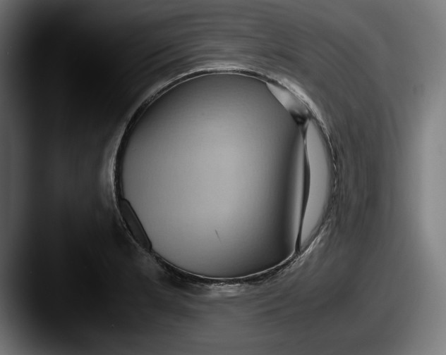 X0000087521181200705181007