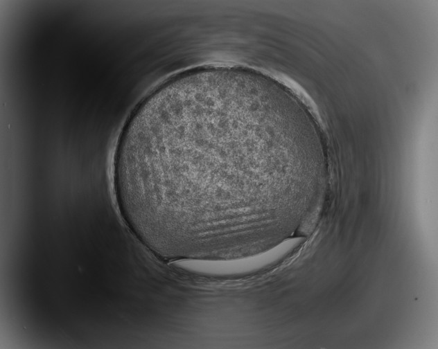 X0000087521183200705181007