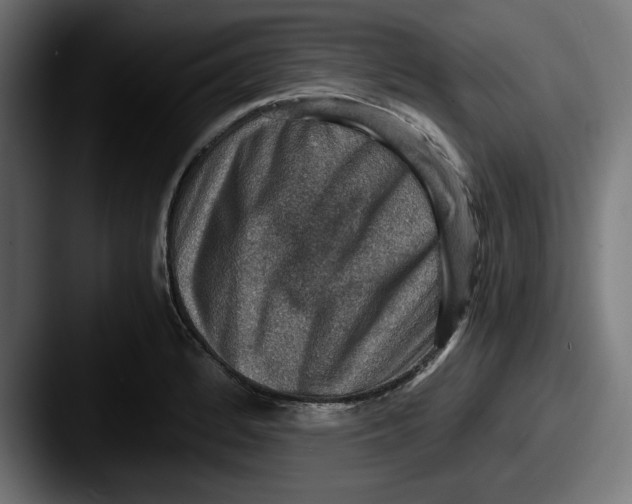 X0000087521184200705181007