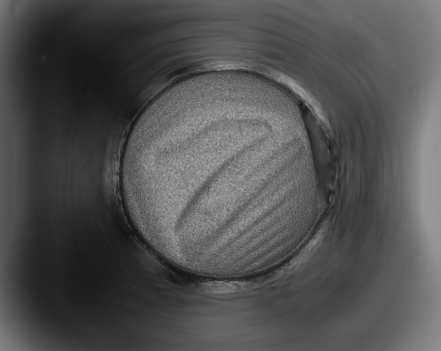 X0000087521185200705181007