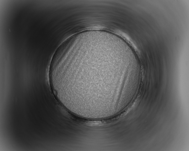 X0000087521186200705181007