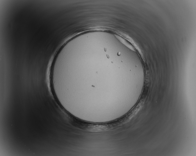 X0000087521187200705181007