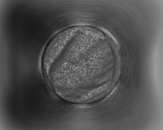 X0000087521189200705181007