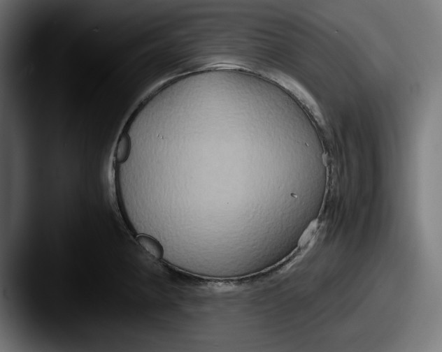 X0000087521190200705181007