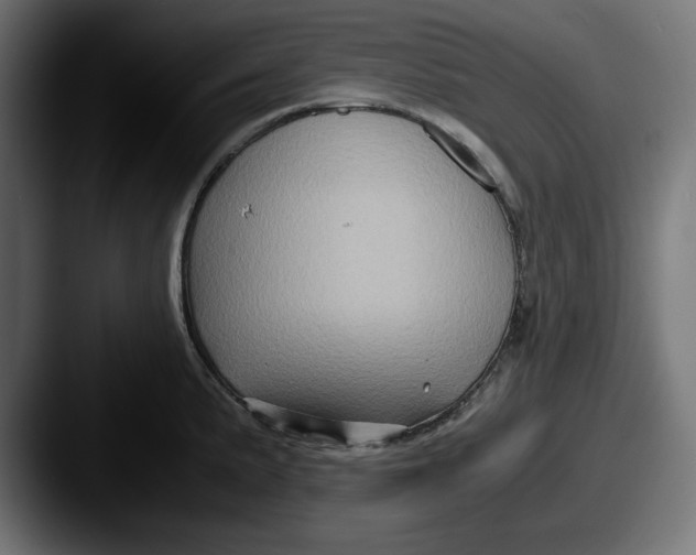 X0000087521191200705181007