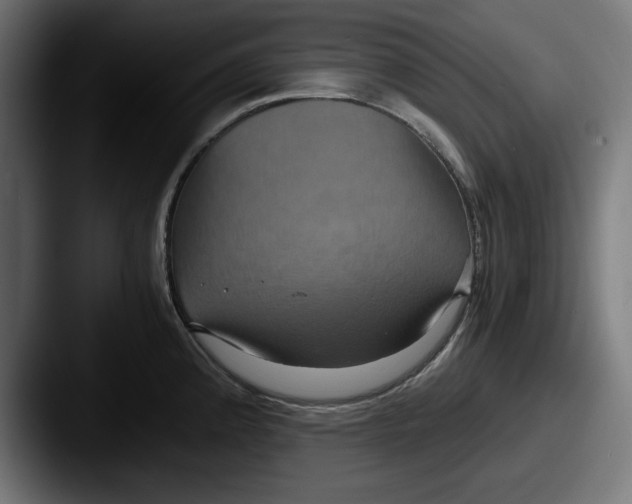 X0000087521192200705181007