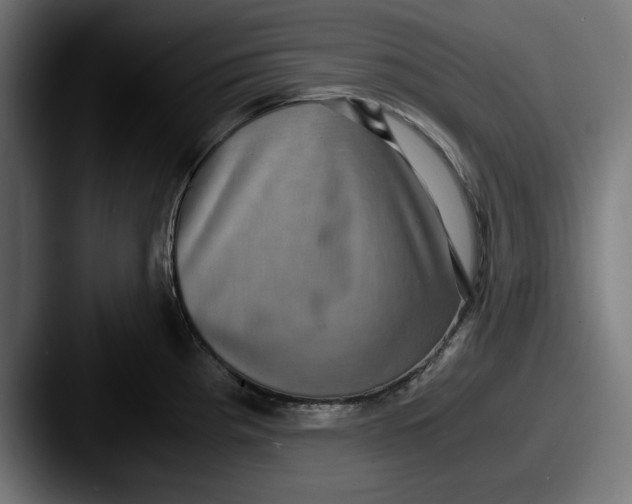 X0000087521193200705181007