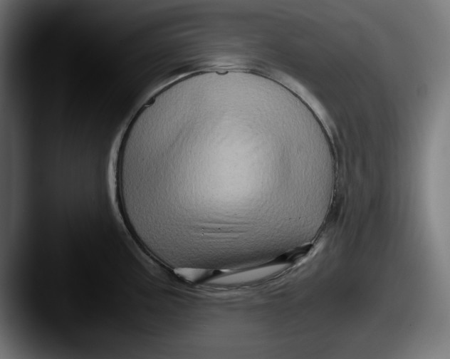 X0000087521195200705181007